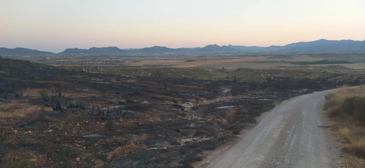 Ayer, día 11 de julio a las 21.17h, la dirección de extinción dió por controlado el incendio que ha afectado a unas 40 hectáreas aproximadamente, en la pedanía mazarronera de El Saladillo.